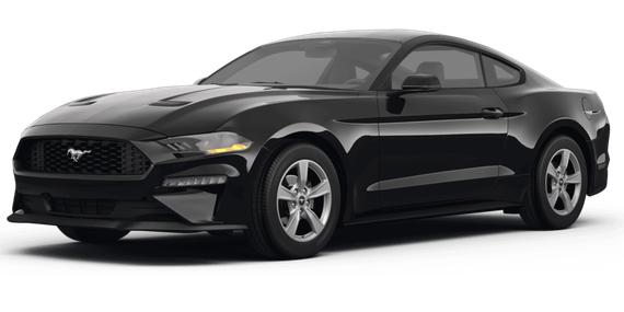 FORD MUSTANG 2024 1FA6P8TH0R5108209 image
