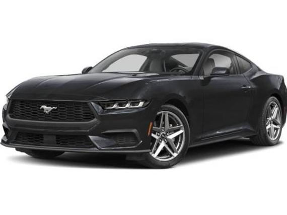 FORD MUSTANG 2024 1FA6P8TH5R5114104 image
