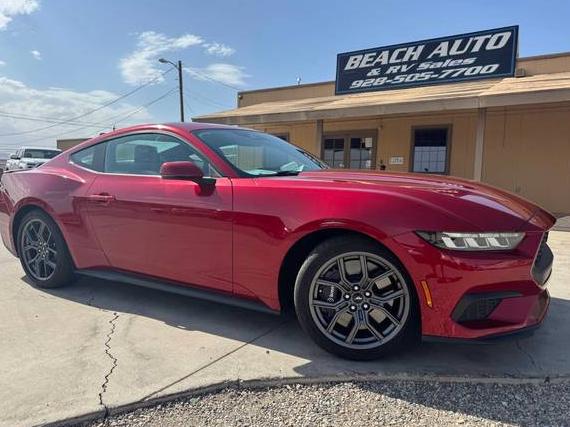 FORD MUSTANG 2024 1FA6P8TH5R5111834 image