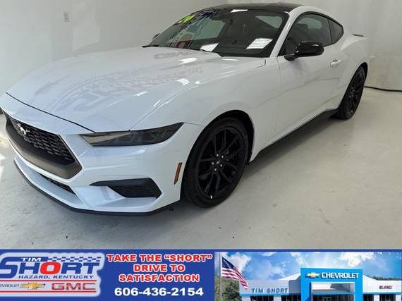FORD MUSTANG 2024 1FA6P8TH6R5119554 image