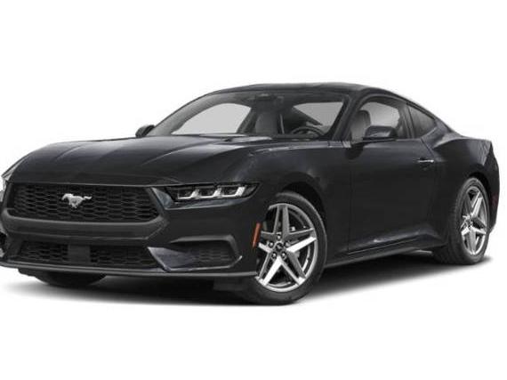 FORD MUSTANG 2024 1FA6P8TH0R5143767 image