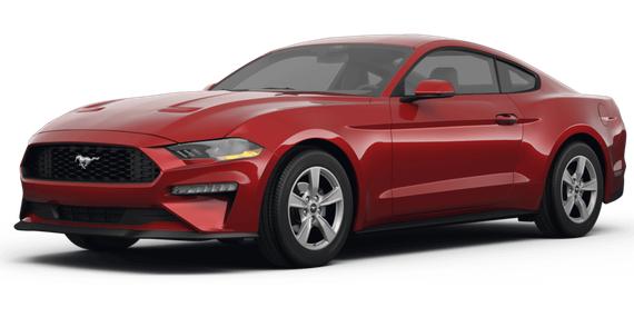 FORD MUSTANG 2024 1FA6P8TH5R5120940 image