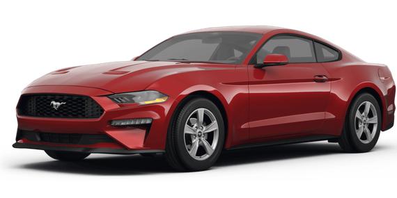 FORD MUSTANG 2024 1FA6P8TH9R5121976 image