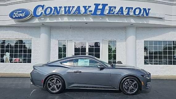 FORD MUSTANG 2024 1FA6P8TH1R5146466 image
