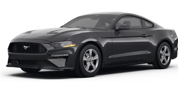 FORD MUSTANG 2024 1FA6P8TH5R5137091 image