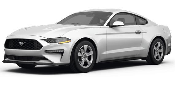 FORD MUSTANG 2024 1FA6P8TH4R5117690 image