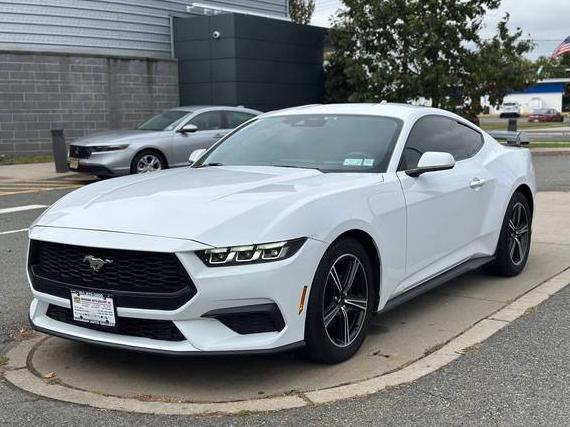 FORD MUSTANG 2024 1FA6P8TH1R5117436 image FORD MUSTANG 2024 1FA6P8TH1R5117436 image