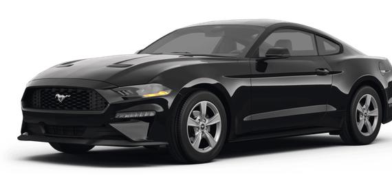 FORD MUSTANG 2024 1FA6P8TH8R5147999 image