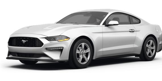 FORD MUSTANG 2024 1FA6P8TH1R5113239 image