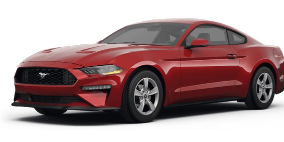FORD MUSTANG 2024 1FA6P8TH0R5103933 image