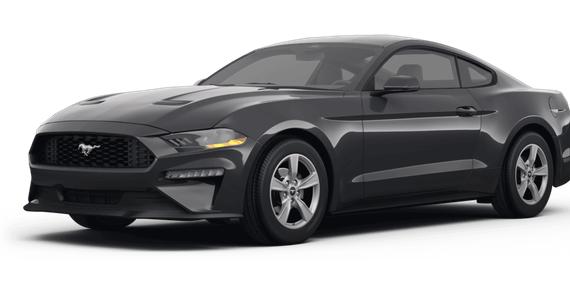 FORD MUSTANG 2024 1FA6P8TH5R5145448 image