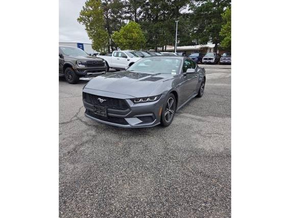 FORD MUSTANG 2024 1FA6P8TH1R5107828 image