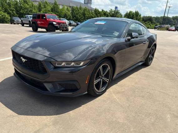 FORD MUSTANG 2024 1FA6P8TH5R5146051 image