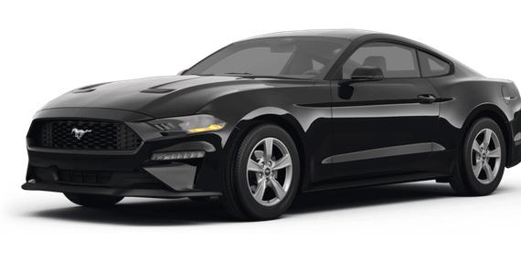 FORD MUSTANG 2024 1FA6P8TH3R5100430 image