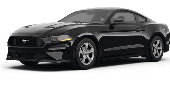 FORD MUSTANG 2024 1FA6P8THXR5116477 image