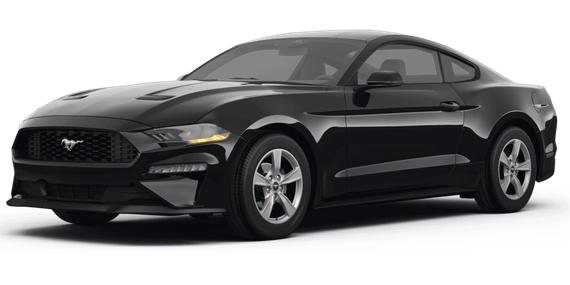 FORD MUSTANG 2024 1FA6P8TH5R5112661 image