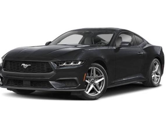 FORD MUSTANG 2024 1FA6P8TH0R5100448 image