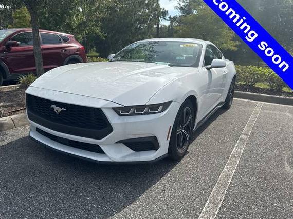 FORD MUSTANG 2024 1FA6P8TH8R5121175 image