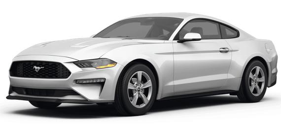 FORD MUSTANG 2024 1FA6P8TH0R5120716 image