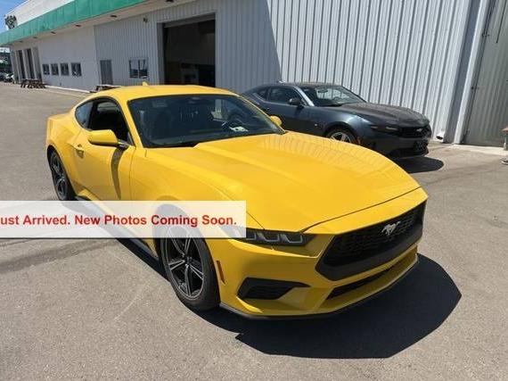 FORD MUSTANG 2024 1FA6P8TH4R5107001 image
