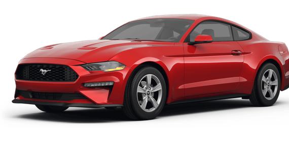 FORD MUSTANG 2024 1FA6P8TH0R5109750 image