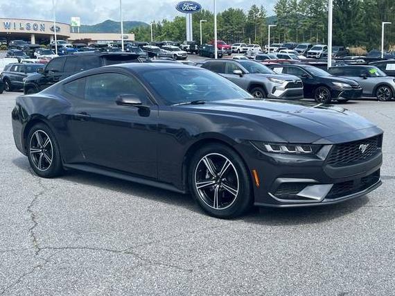 FORD MUSTANG 2024 1FA6P8THXR5122523 image