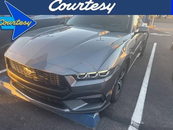 FORD MUSTANG 2024 1FA6P8TH2R5106896 image