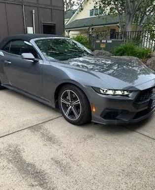 FORD MUSTANG 2024 1FAGP8UH9R5123701 image
