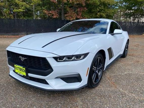 FORD MUSTANG 2024 1FA6P8TH0R5106377 image