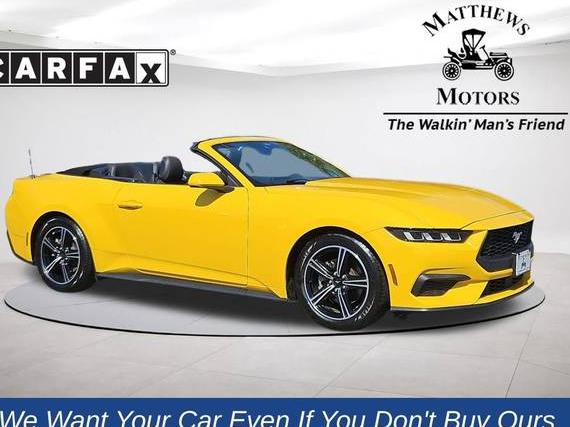 FORD MUSTANG 2024 1FAGP8UHXR5105756 image