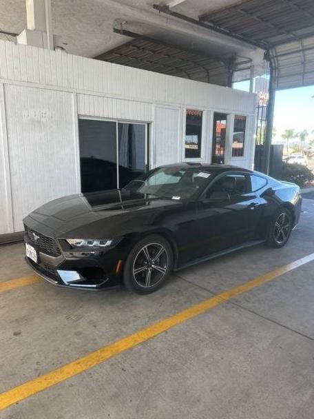 FORD MUSTANG 2024 1FA6P8TH5R5120856 image
