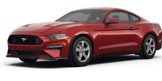 FORD MUSTANG 2024 1FA6P8TH5R5120291 image