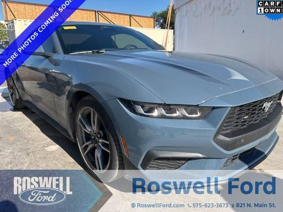 FORD MUSTANG 2024 1FA6P8TH4R5117351 image