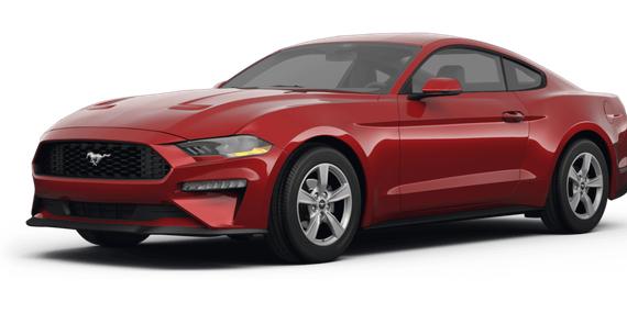 FORD MUSTANG 2024 1FA6P8TH1R5126332 image