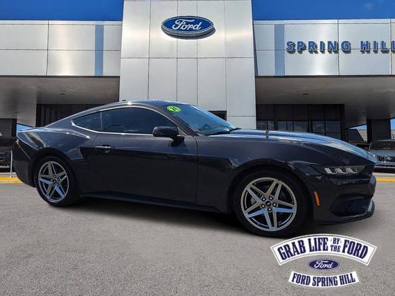 FORD MUSTANG 2024 1FA6P8TH5R5118024 image FORD MUSTANG 2024 1FA6P8TH5R5118024 image