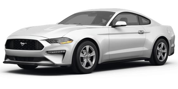 FORD MUSTANG 2024 1FA6P8THXR5143145 image