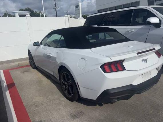 FORD MUSTANG 2024 1FAGP8UH6R5133392 image