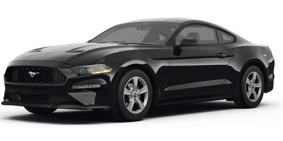 FORD MUSTANG 2024 1FA6P8TH4R5130309 image