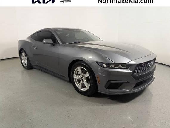 FORD MUSTANG 2024 1FA6P8TH4R5105152 image