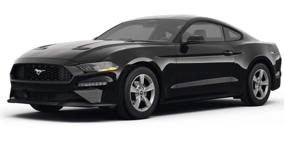 FORD MUSTANG 2024 1FA6P8TH3R5120368 image