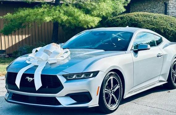 FORD MUSTANG 2024 1FA6P8TH1R5124483 image