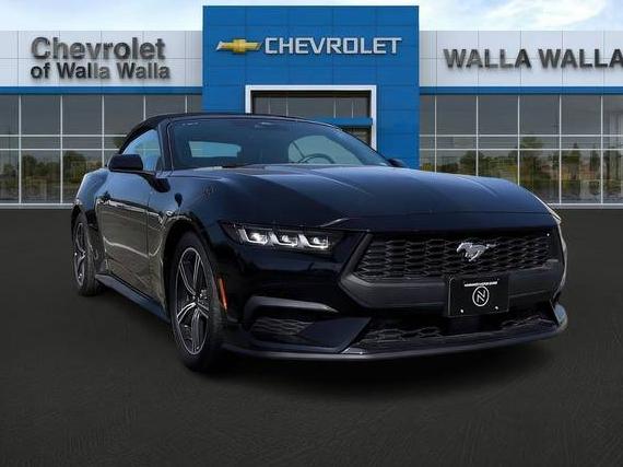 FORD MUSTANG 2024 1FAGP8UH7R5134034 image
