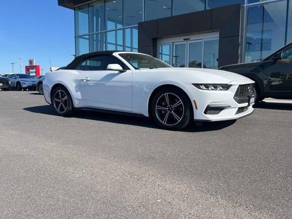 FORD MUSTANG 2024 1FAGP8UH6R5131108 image