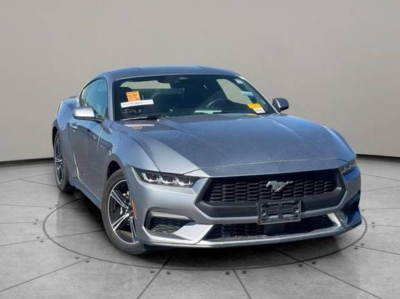 FORD MUSTANG 2024 1FA6P8TH0R5125334 image FORD MUSTANG 2024 1FA6P8TH0R5125334 image