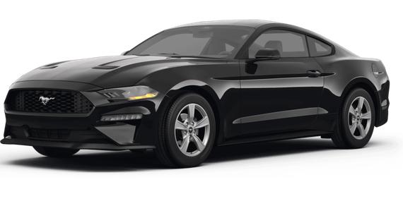 FORD MUSTANG 2024 1FA6P8TH0R5105441 image