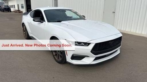 FORD MUSTANG 2024 1FA6P8TH3R5118765 image