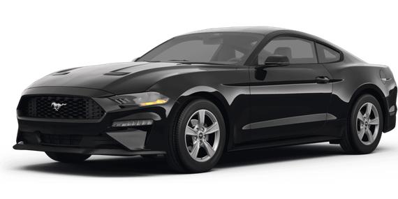 FORD MUSTANG 2024 1FA6P8TH4R5129659 image