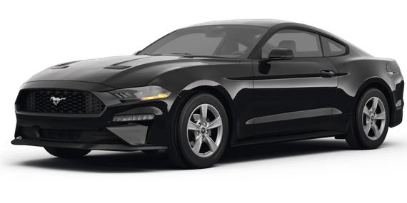 FORD MUSTANG 2024 1FA6P8TH9R5135893 image
