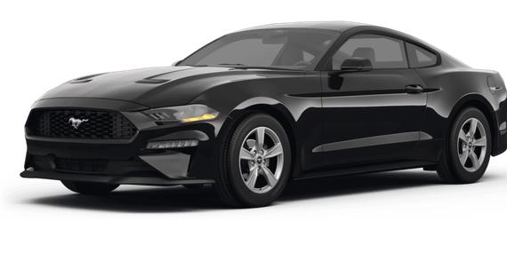FORD MUSTANG 2024 1FA6P8TH8R5127476 image