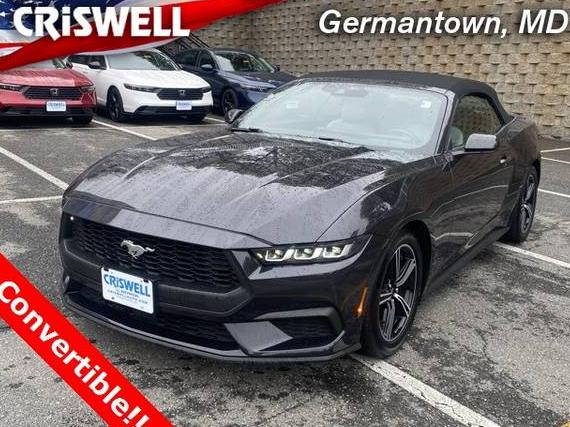 FORD MUSTANG 2024 1FAGP8UH0R5131248 image